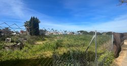 La Jara. Sanlúcar de Barrameda