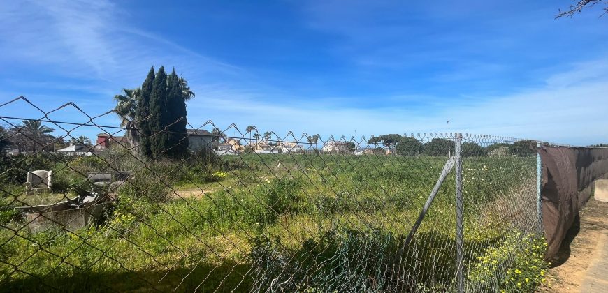 La Jara. Sanlúcar de Barrameda