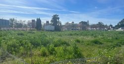 La Jara. Sanlúcar de Barrameda