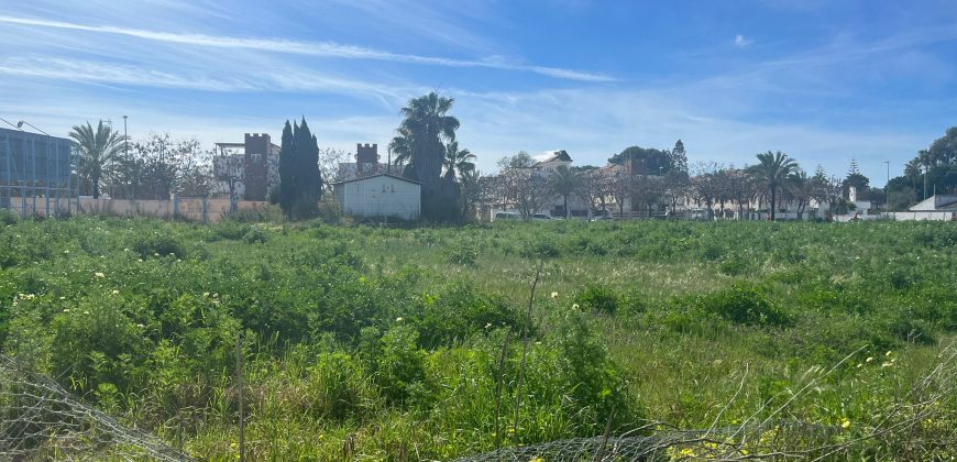 La Jara. Sanlúcar de Barrameda