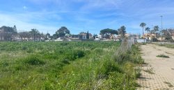 La Jara. Sanlúcar de Barrameda