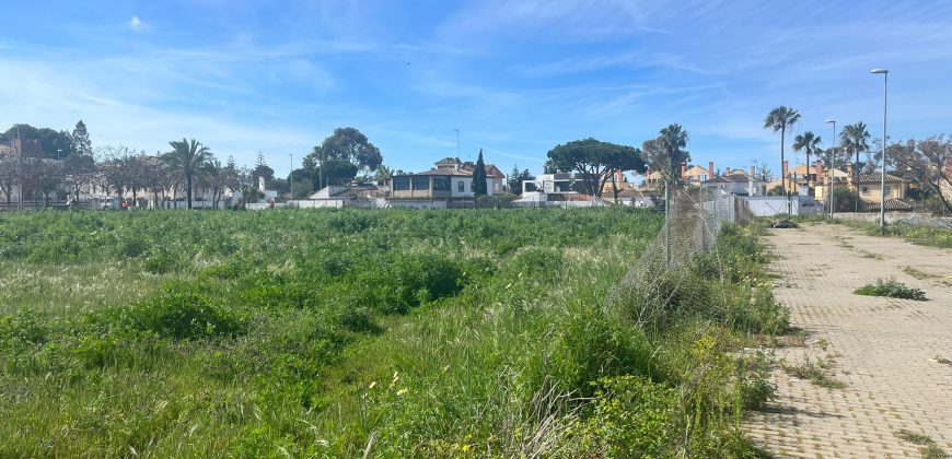 La Jara. Sanlúcar de Barrameda