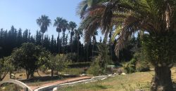 Villa Cortijo en Sotogrande, Cadiz