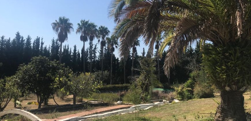 Villa Cortijo en Sotogrande, Cadiz