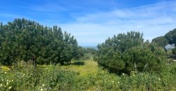 La Jara. Sanlúcar de Barrameda