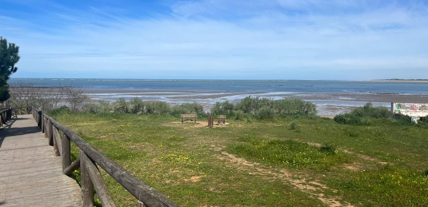 La Jara. Sanlúcar de Barrameda