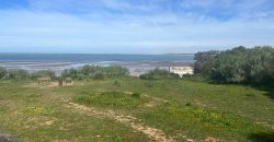 La Jara. Sanlúcar de Barrameda