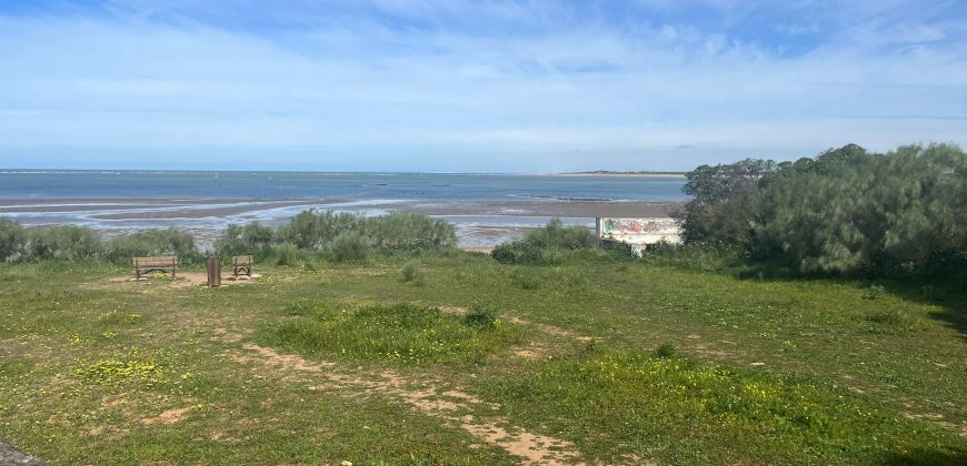 La Jara. Sanlúcar de Barrameda