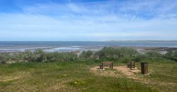 La Jara. Sanlúcar de Barrameda