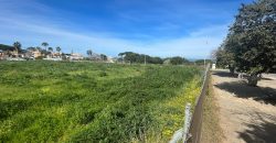 La Jara. Sanlúcar de Barrameda