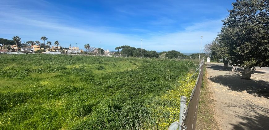 La Jara. Sanlúcar de Barrameda