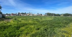 La Jara. Sanlúcar de Barrameda
