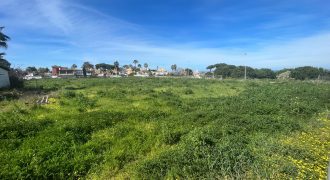 La Jara. Sanlúcar de Barrameda