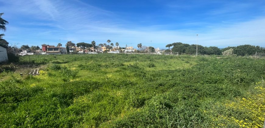 La Jara. Sanlúcar de Barrameda