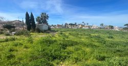 La Jara. Sanlúcar de Barrameda