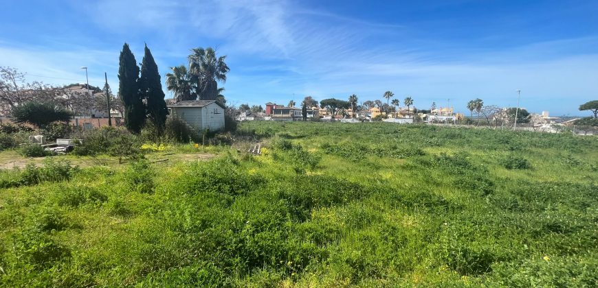 La Jara. Sanlúcar de Barrameda