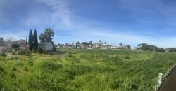 La Jara. Sanlúcar de Barrameda