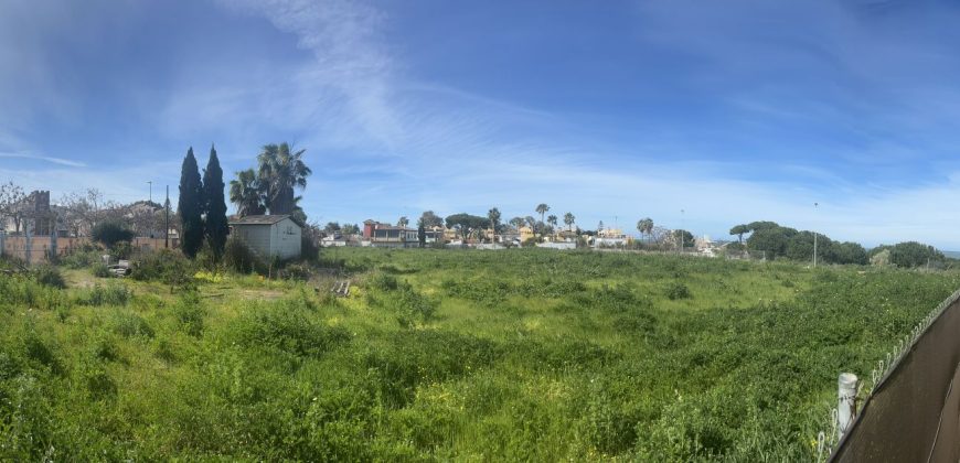 La Jara. Sanlúcar de Barrameda