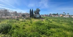 La Jara. Sanlúcar de Barrameda