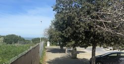 La Jara. Sanlúcar de Barrameda