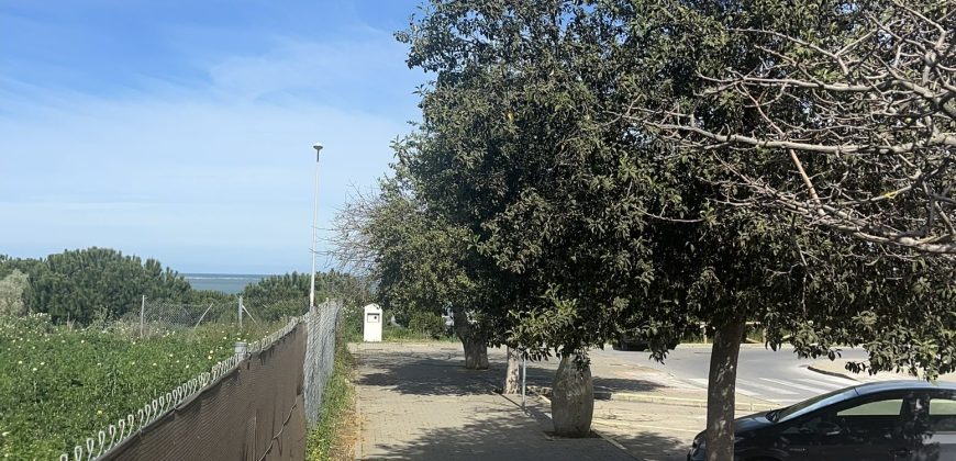 La Jara. Sanlúcar de Barrameda