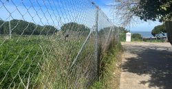 La Jara. Sanlúcar de Barrameda