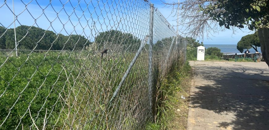 La Jara. Sanlúcar de Barrameda