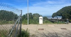 La Jara. Sanlúcar de Barrameda
