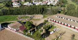Centro Hípico Las Minas