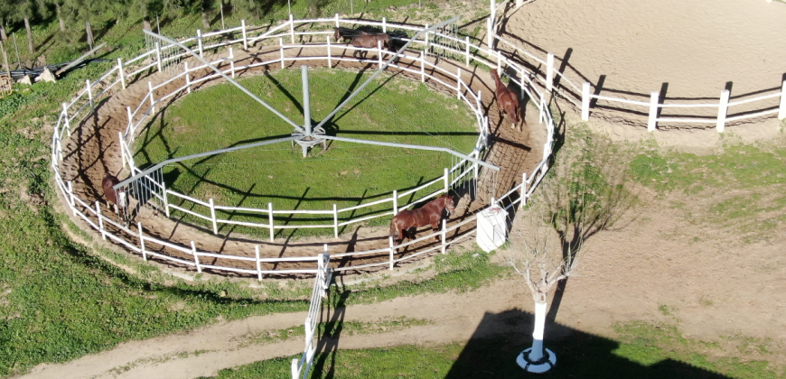 Centro Hípico Las Minas