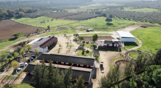 Centro Hípico Las Minas