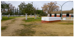 Centro Hípico Las Minas