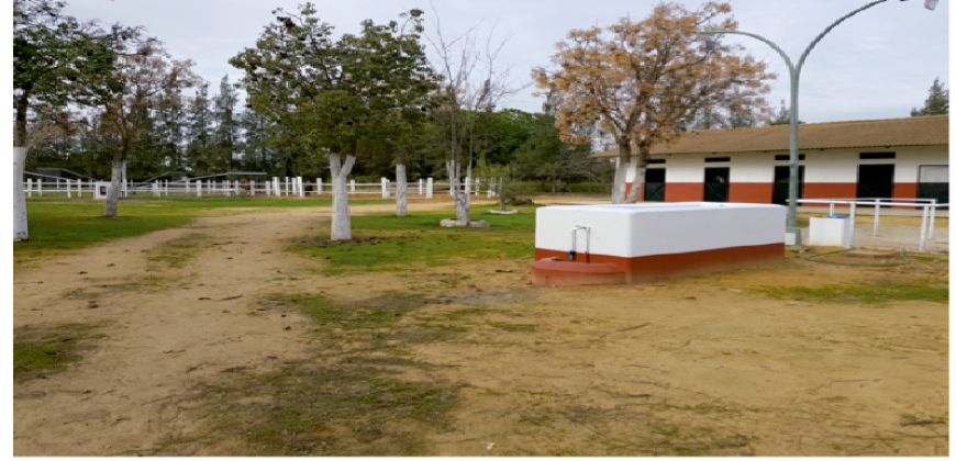 Centro Hípico Las Minas