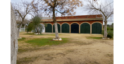 Centro Hípico Las Minas