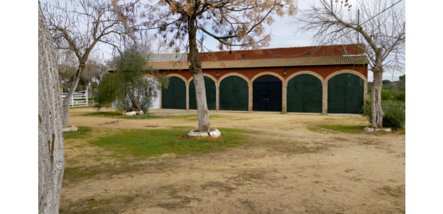 Centro Hípico Las Minas