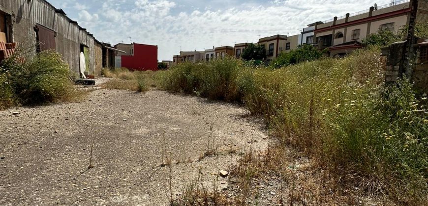 Solar en Palomares del Río