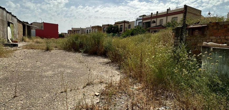 Solar en Palomares del Río