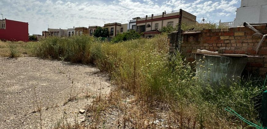 Solar en Palomares del Río