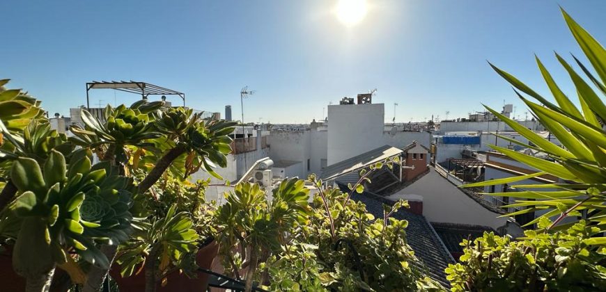 Calle Antonio Susillo 27